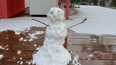 Frio intenso e possibilidade de neve mobilizam alerta da Defesa Civil em SC