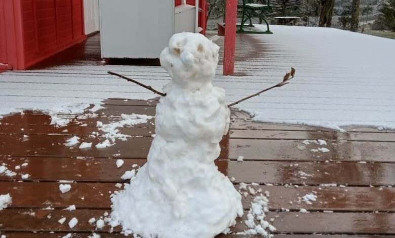 Frio intenso e possibilidade de neve mobilizam alerta da Defesa Civil em SC