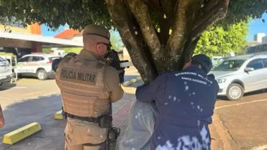 Homem embriagado é resgatado após ficar com a cabeça presa em árvore em SC