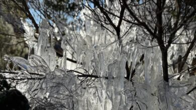 Alerta para nova onda de frio intensa em Santa Catarina