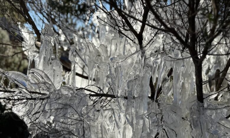 Alerta para nova onda de frio intensa em Santa Catarina
