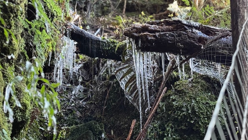 Alerta para nova onda de frio intensa em Santa Catarina