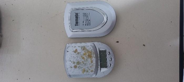 Dupla é presa por tráfico de drogas em kitnet no bairro Itoupava Norte, em Blumenau