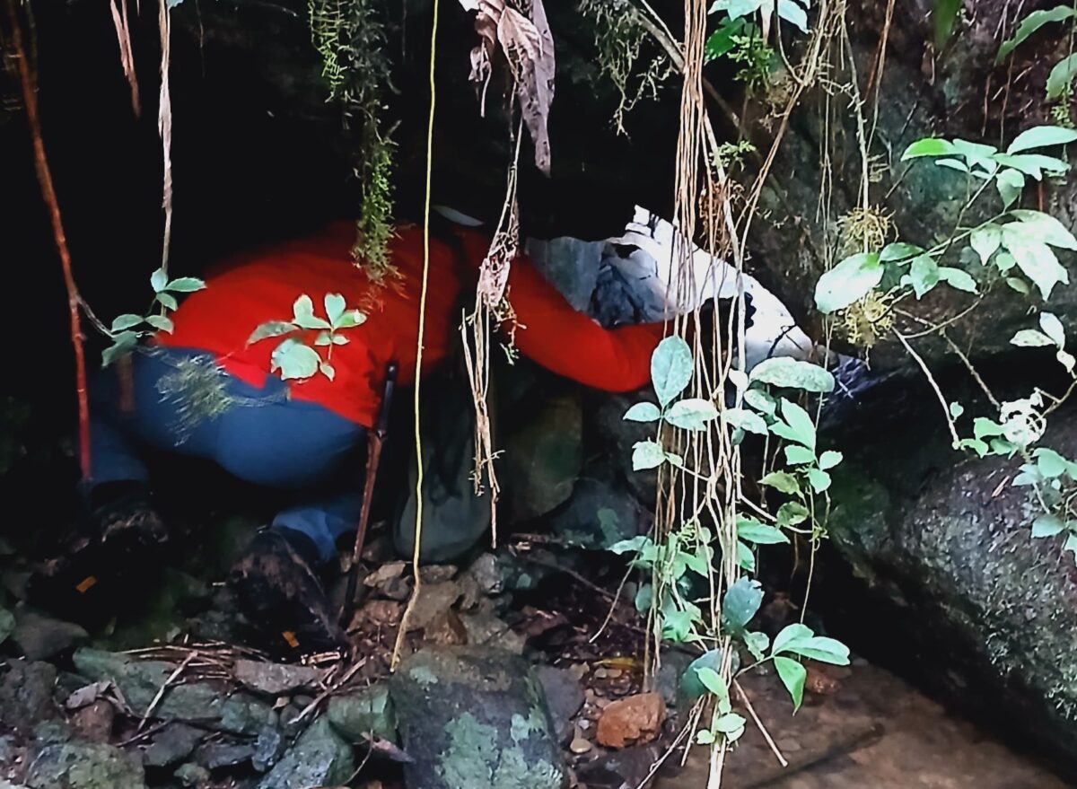 Encerradas as buscas por homem desaparecido em área de mata em Rodeio