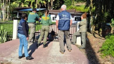 Operação do IBAMA flagra cativeiro de animais exóticos em Timbó; multas chegam a R$ 1,1 milhão