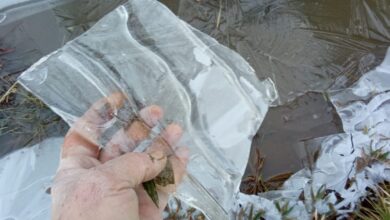 Frio extremo atinge Urupema e derruba temperaturas a -8,1°C, com sensação de -29°C