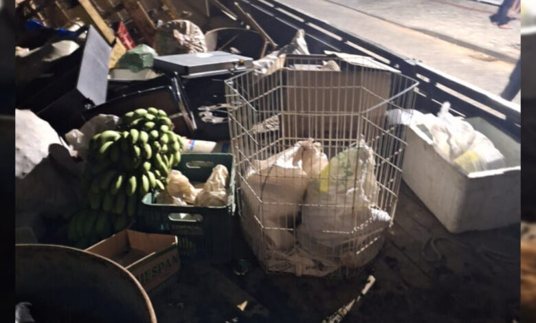 Homem responderá judicialmente por maus-tratos a 24 animais em Timbó