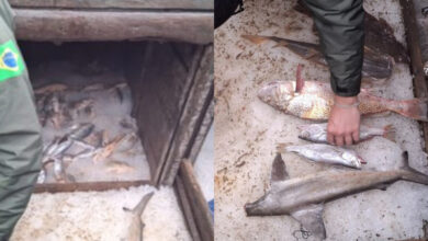 Embarcação de pesca ilegal é apreendida no Sul de SC com cerca de 6 toneladas de pescado irregular