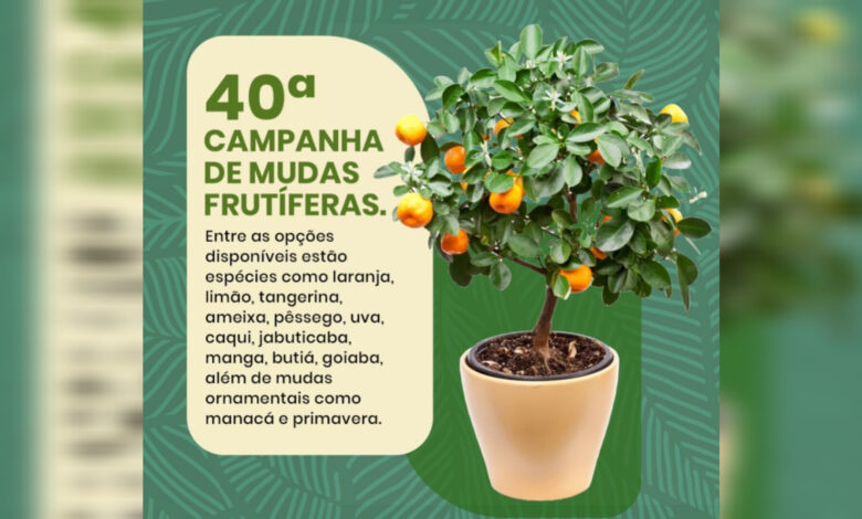 Campanha de Mudas Frutíferas entra na reta final em Timbó