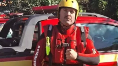 Bombeiro de Itapema morre após ser picado por aranha-marrom