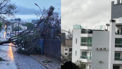 Temporal provoca queda de árvores, postes e destelhamentos em municípios de SC