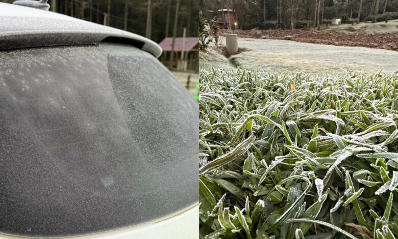 Município de SC registra -7,8°C e mantém recorde de frio; sensação térmica chegou a -33°C nesta semana