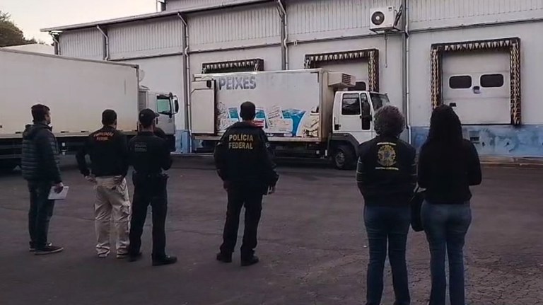 Operação da PF mira fraude no comércio de pescados em SC e outros 6 estados