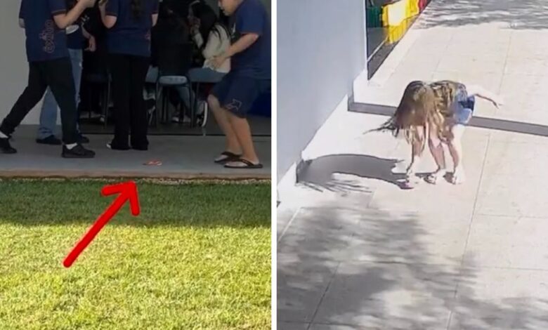 Escola em Goiás premia alunos que recolheram lixo no Dia do Meio Ambiente