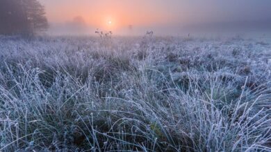 Timbó se prepara para a semana mais gelada do ano até agora