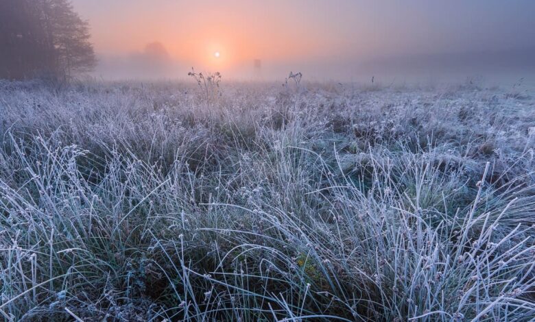 Timbó se prepara para a semana mais gelada do ano até agora