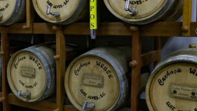 Santa Catarina registra maior alta de marcas de cachaça no país; setor avança 31%