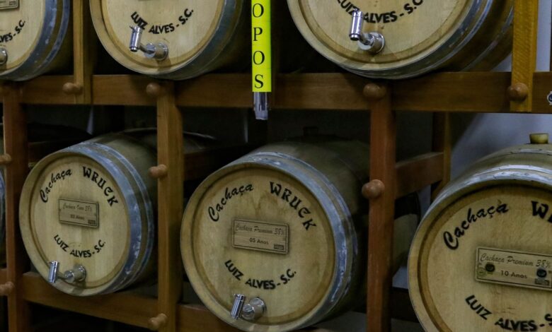 Santa Catarina registra maior alta de marcas de cachaça no país; setor avança 31%