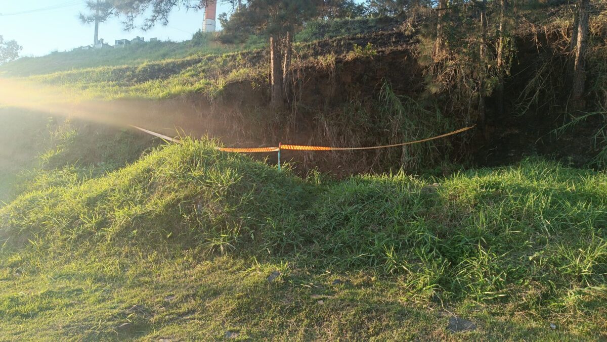 Cão é encontrado carbonizado em incêndio em Ilhota; caso será investigado como maus-tratos