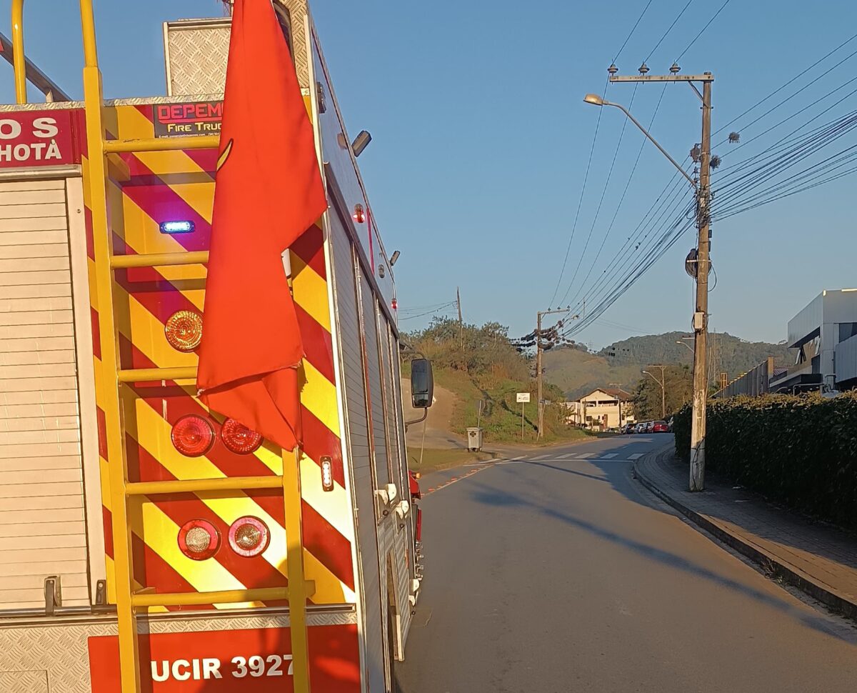 Cão é encontrado carbonizado em incêndio em Ilhota; caso será investigado como maus-tratos