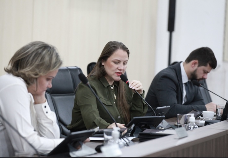 Vereadores de Blumenau aprovam medidas em defesa da população LGBTQIA+ e reformulação de incentivos fiscais