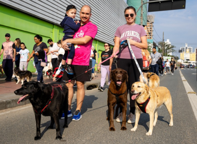 Inscrições abertas para a 30ª Cãominhada em Blumenau, que será realizada em 27 de julho
