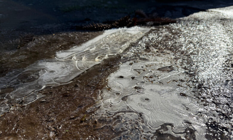 Frio de rachar: SC enfrenta mínimas negativas nesta terça