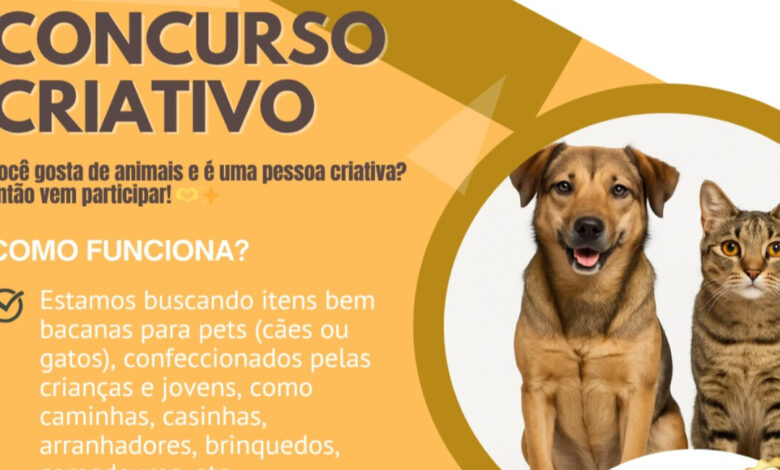 ONG de Timbó promove concurso para crianças e jovens em prol dos animais
