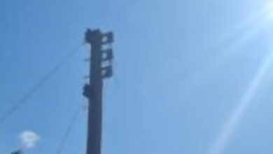 Furto em Rio dos Cedros: 400 metros de fiação elétrica desaparecem de propriedade de idosa