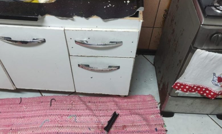 Violência doméstica: três ocorrências mobilizam a Polícia Militar em Blumenau no domingo