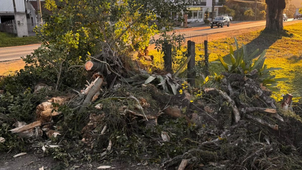 Com ventos de ciclone, Timbó registra só uma ocorrência de dano
