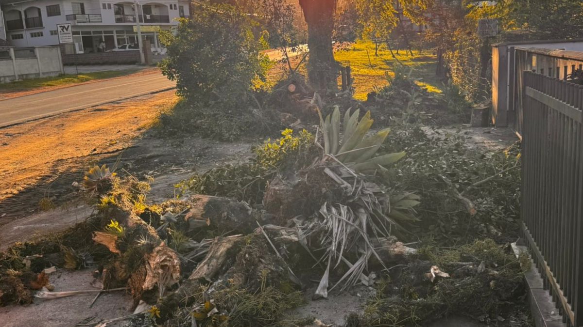 Com ventos de ciclone, Timbó registra só uma ocorrência de dano