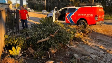 Com ventos de ciclone, Timbó registra só uma queda de árvore
