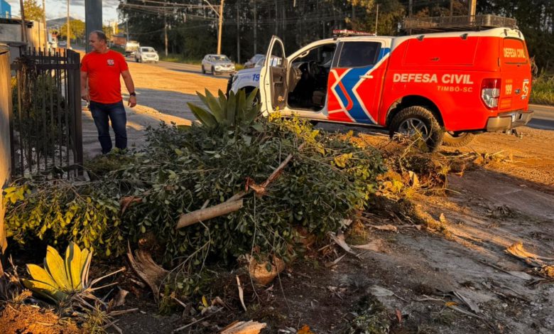 Com ventos de ciclone, Timbó registra só uma queda de árvore