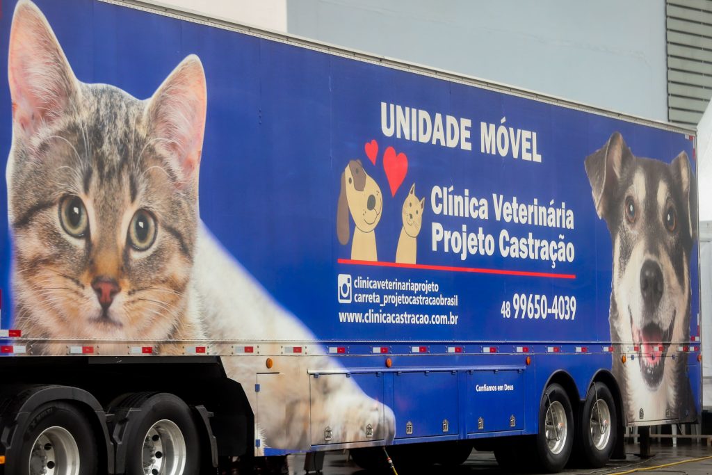  Diversão para todos: Norte shopping tem xadrez, quebra-cabeças, parque e mutirão de castração neste fim de semana