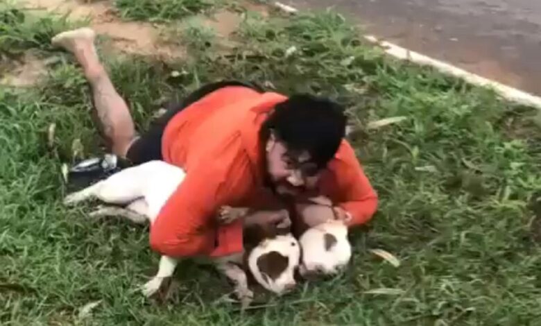 Lutador imobiliza dois pitbulls ao ser atacado em MS