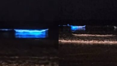 Noite azul: mar de SC brilha e encanta com fenômeno raro