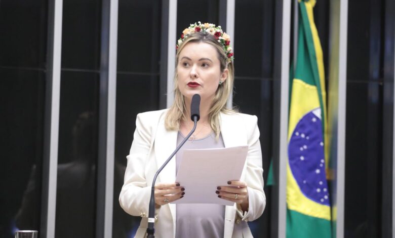 Deputada Júlia Zanatta critica Governo Federal por negar solução provisória para a BR-101