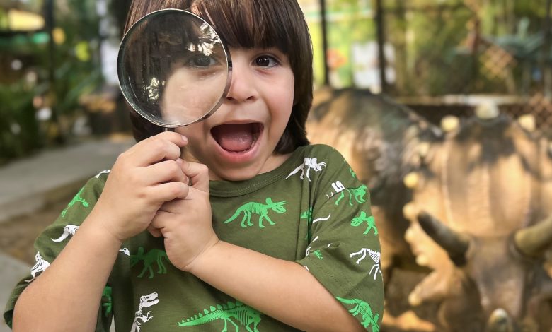 Parque Vila Encantada revela atração inédita que vai conquistar as crianças nas férias de julho