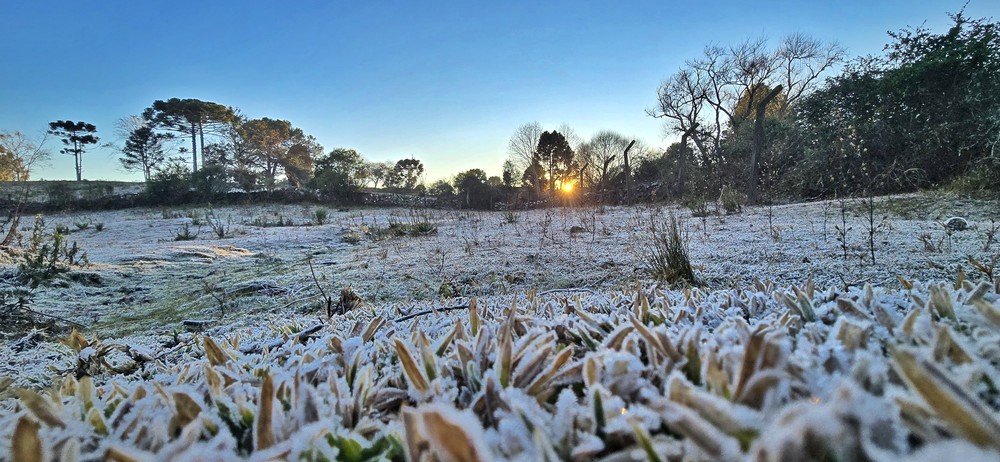Temperaturas negativas e geada marcam início de semana na Serra Catarinense