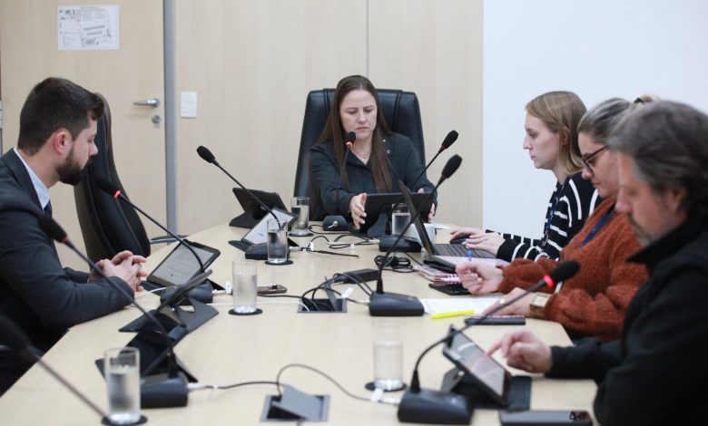 PPA 2026-2029 e combate à pichação estão entre os destaques da semana no Legislativo blumenauense