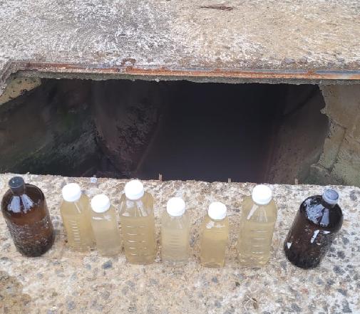 Mortandade de peixes acende alerta ambiental em Jaraguá do Sul