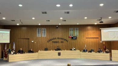 Auxílios, manutenção de ruas e proteção aos animais: veja os destaques da Sessão da Câmara de Timbó