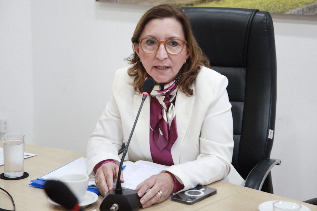 Comissão de Educação da Câmara recebe Secretaria; IDEB, SAEB e pesquisa da Fundação Carlos Chagas estão na pauta