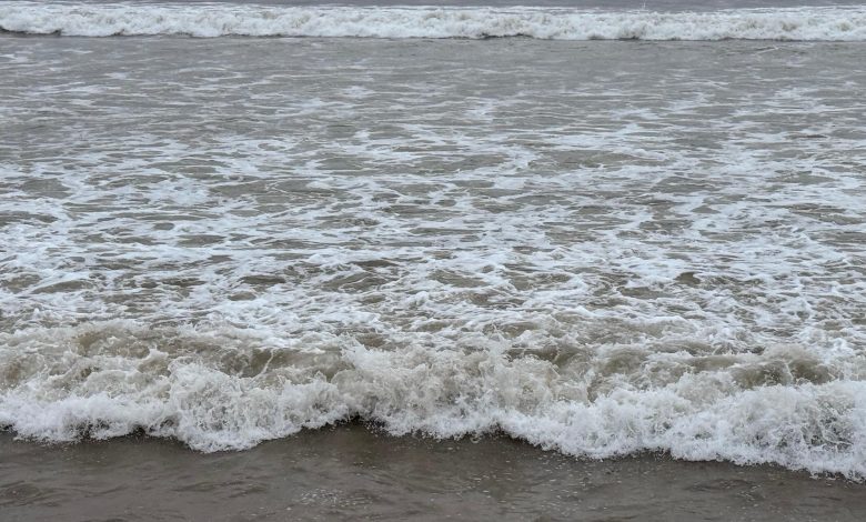 Praias monitoradas: IMA divulga balanço de julho e anuncia nova rodada de coletas