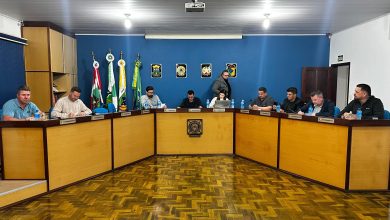 Projeto sobre acolhimento de crianças em Famílias Acolhedoras é aprovado em 2ª votação em Apiúna