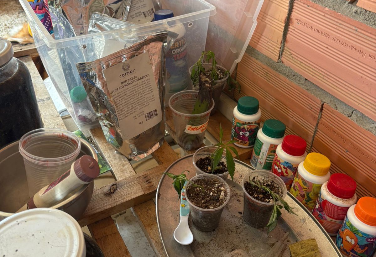 Homem que se apresentava como 