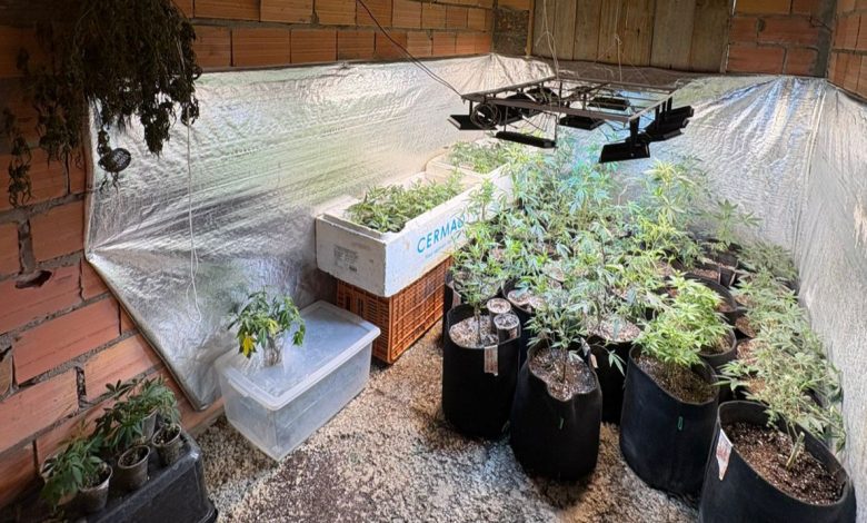 Homem que se apresentava como 