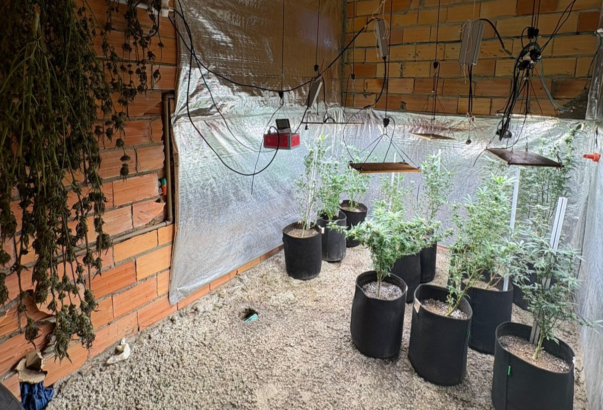 Homem que se apresentava como 