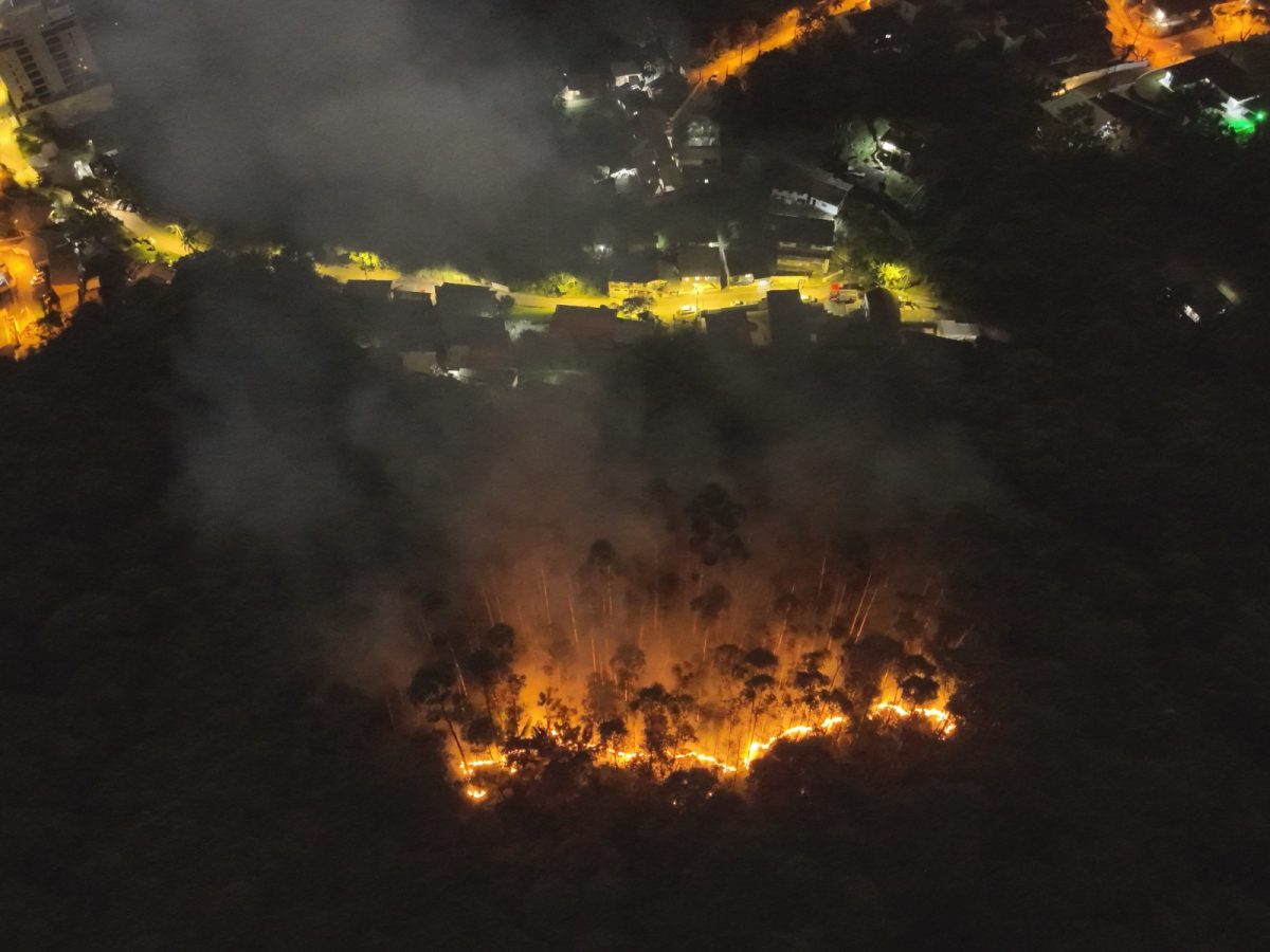 Fogo consome área de vegetação próxima a parque em Blumenau